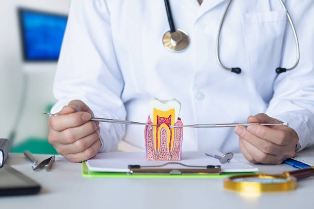 Best Emergency Broken Tooth Repair in Carnesville, GA